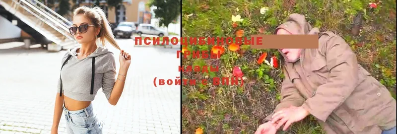 Галлюциногенные грибы Magic Shrooms  omg tor  Кадников 